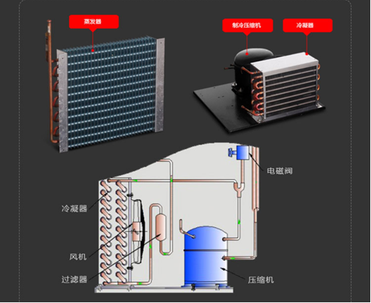 LRH(MJ)恒溫恒濕霉菌箱 LRH(MJ)恒溫恒濕霉菌箱